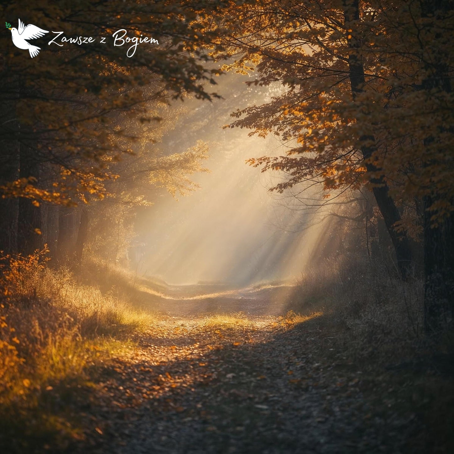 Wdzięczność przemienia serce (1 Tes 5,18)