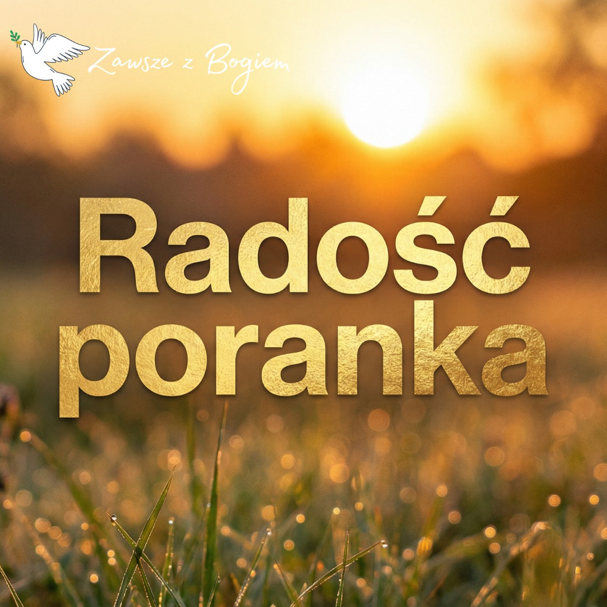 Radość poranka – muzyczna modlitwa inspirowana Psalmem 30